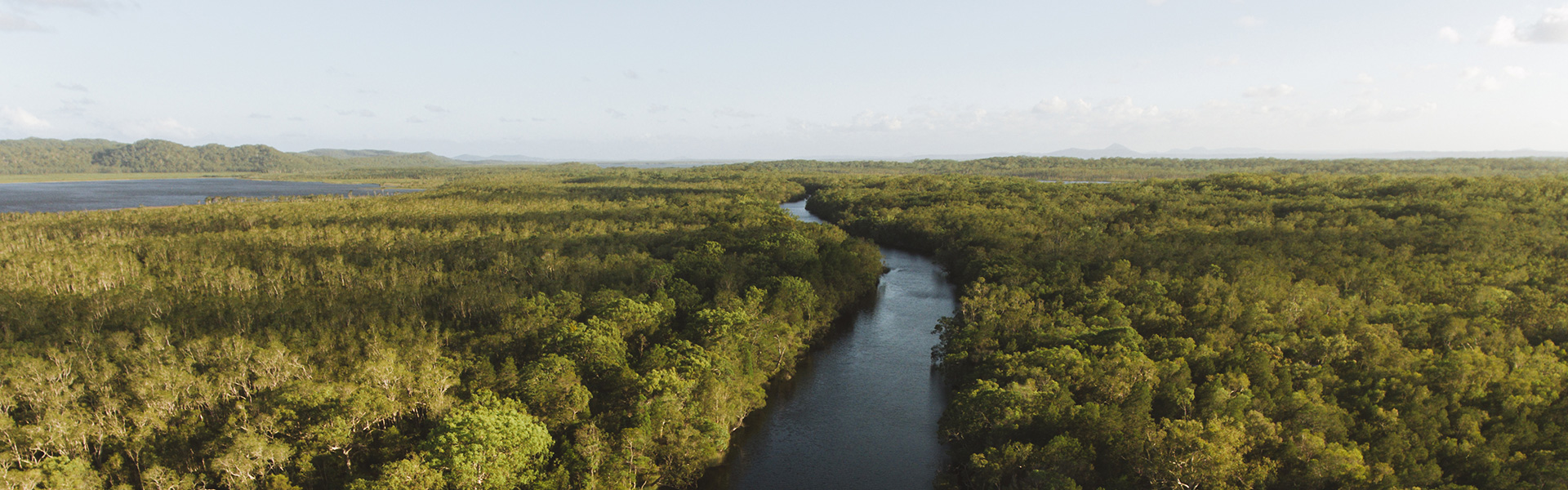 <p>Noosa Everglades</p>
