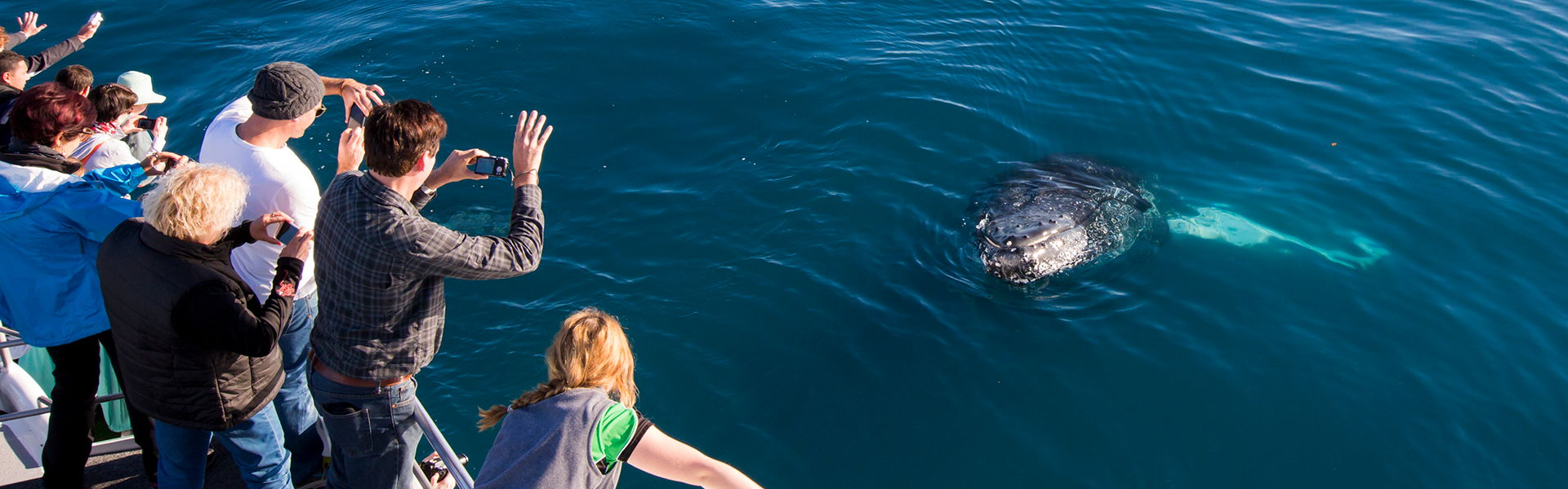 <p>Up close natural encounters in Hervey Bay</p>
