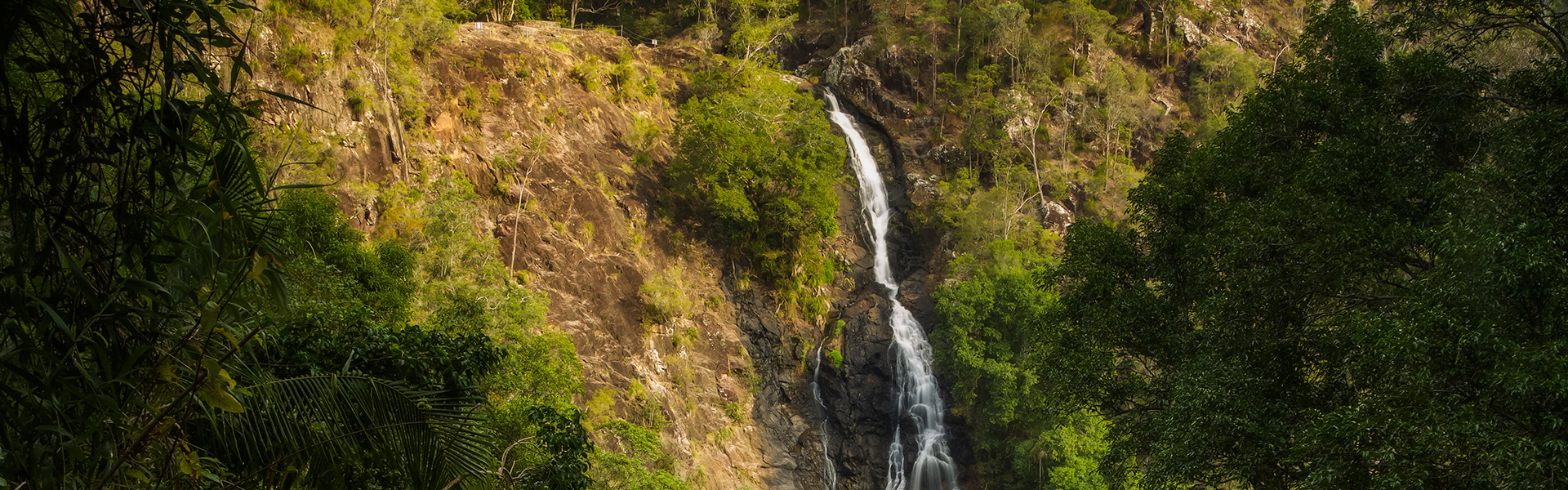 <p>Kondalilla Falls, Sunshine Coast</p>
